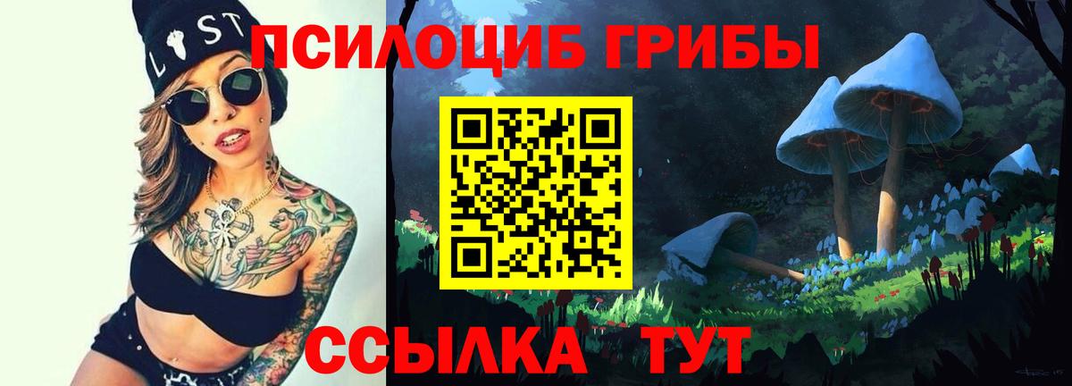 Галлюциногенные грибы прущие грибы  Псилоцибиновые грибы MAGIC MUSHROOMS  Новоалтайск  Вход с VPN 