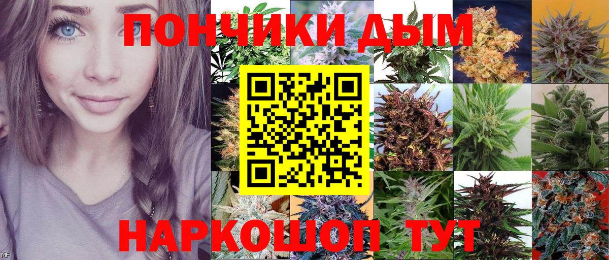 Новоалтайск  Конопля White Widow  Вход с VPN  Бошки марихуана конопля  Канабис ГИДРОПОН 